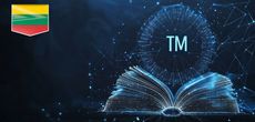 Регистрация торговой марки в Литве: оформление, охрана и практика регистрации