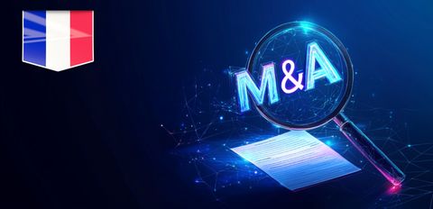 Due diligence в технологических M&A во Франции