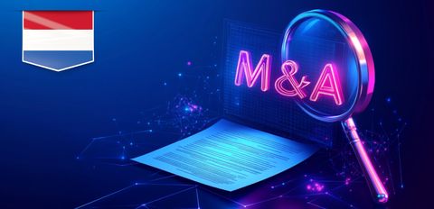 Due diligence в частных M&A в Нидерландах