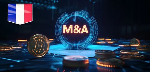 M&A во Франции