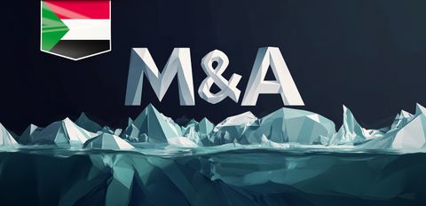 Due diligence в частных M&A в Судане