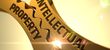 How to Minimize IP Protection Costs