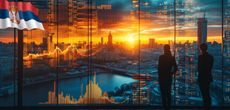 Купить готовую компанию в Сербии