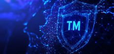 Особенности подтверждения использования ТМ в ЕС