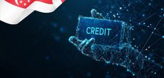 Ипотечные и залоговые платежи в судоходной отрасли в Сингапуре