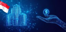 Support of investment activities in Singapore