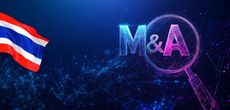 Due diligence в частных M&A в Таиланде