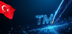 Регулирование ТМ в Турции