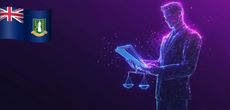 Разрешение трансграничных споров на БВО