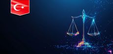 Судебные разбирательства и правоприменение в Турции