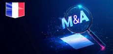 Due Diligence in Techno M&A in France