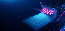 Статистика схем Stored Value Facilities, выданных лицензиатами SVF