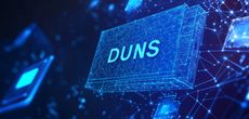 Получение DUNS номера