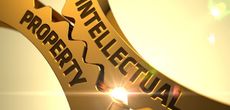 Минимизация затрат по защите интеллектуальной собственности