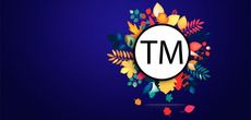 Использование торговых марок и право на свободу выражения мнения