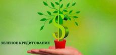 Зеленое кредитование — что делает рынок кредитования для окружающей среды?