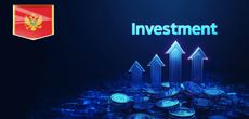 Сопровождение инвестиционной деятельности в Черногории