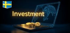Сопровождение инвестиционной деятельности в Швеции