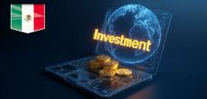 Регулирование иностранных инвестиций в Мексике