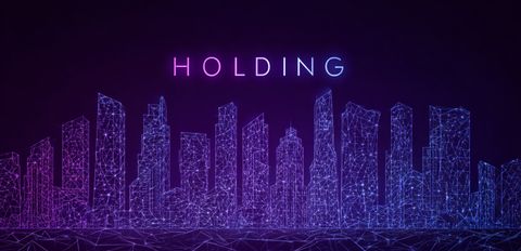 Holding company: advantages and disadvantages